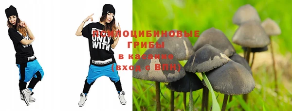2c-b Сясьстрой