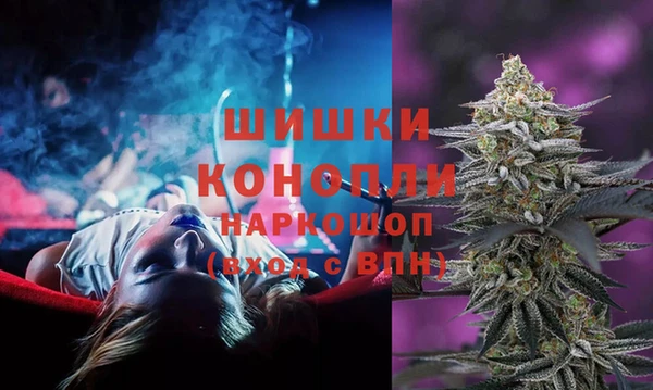 дмт Мегион