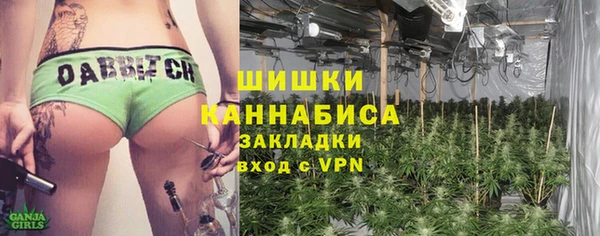 2c-b Сясьстрой