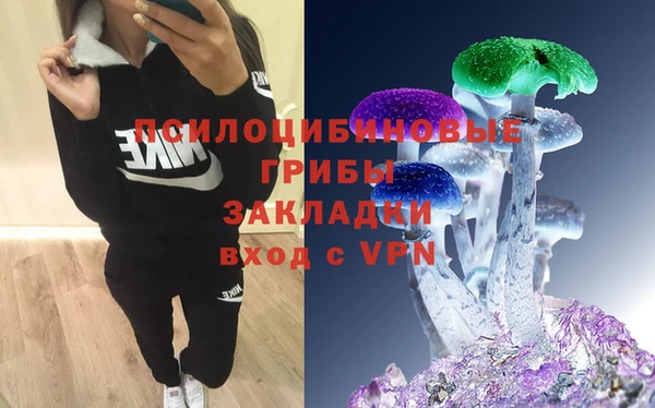 2c-b Сясьстрой
