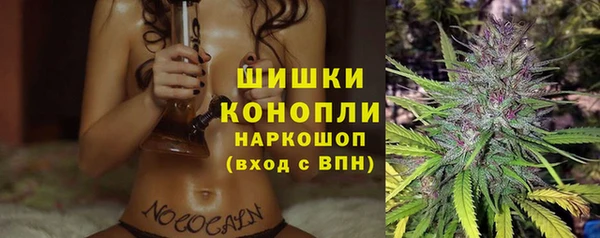 2c-b Сясьстрой
