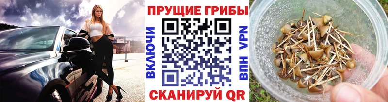 Галлюциногенные грибы мицелий  Чекалин 