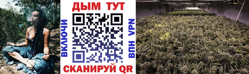 mega tor  цены наркотик  Чекалин  Бошки Шишки тримм 
